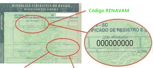 Localização do Renavam no documento do veículo